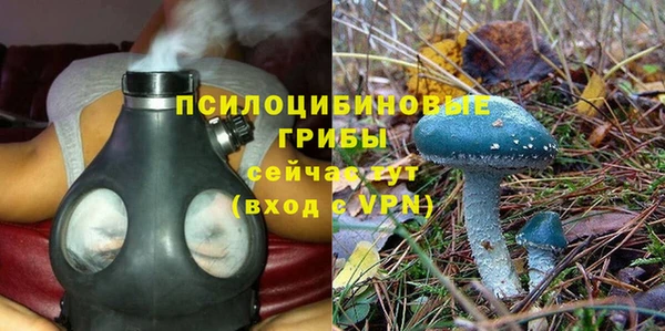 гашик Бутурлиновка