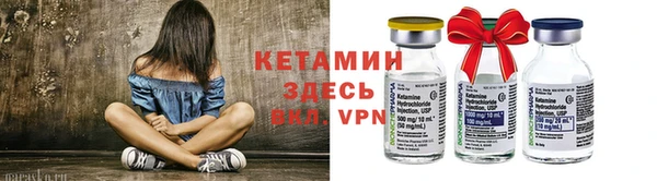 прущие грибы Бородино