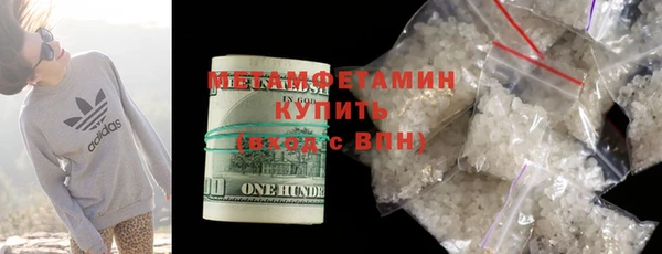 прущие грибы Бородино