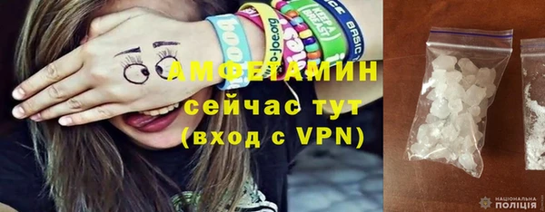 прущие грибы Бородино