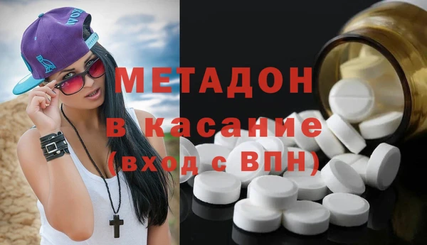прущие грибы Бородино